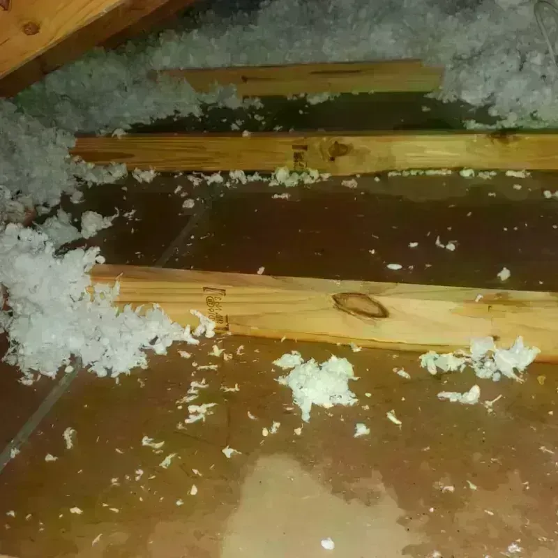 Attic Water Damage in Alcoa, TN